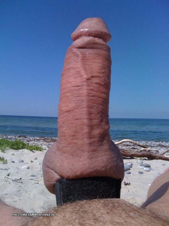 15P Picture selection of steamy hot amateur studs showing off their cocks 