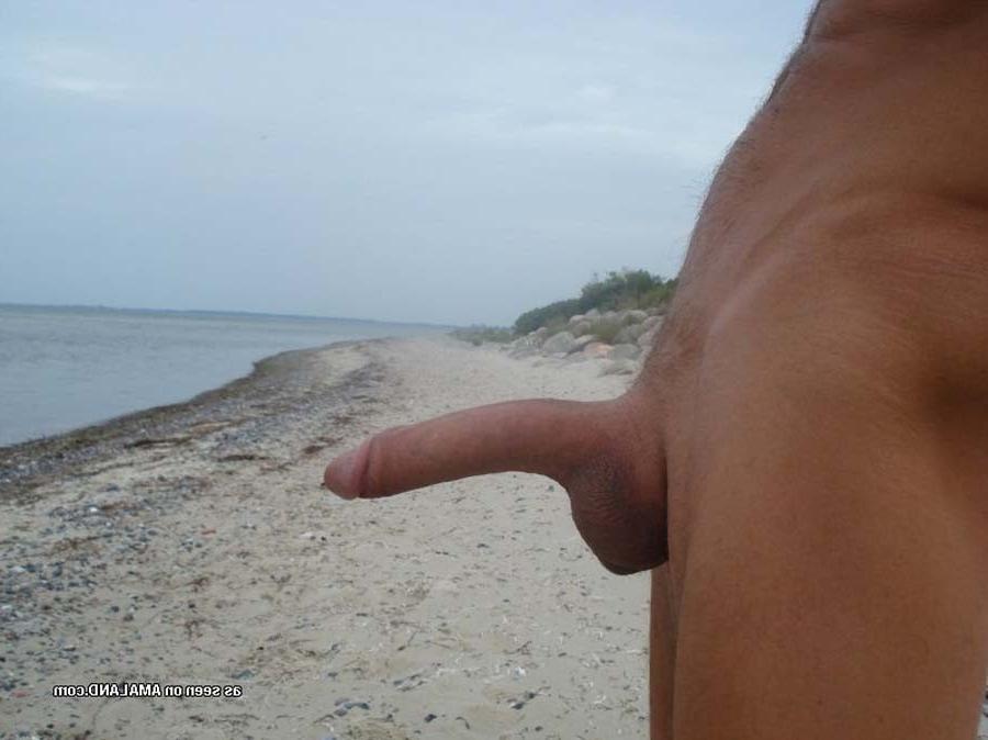 15P Picture selection of steamy hot amateur studs showing off their cocks 