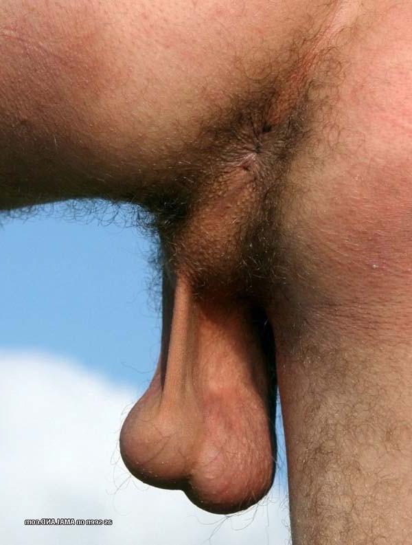12P Endowed men showing their hard dicks
