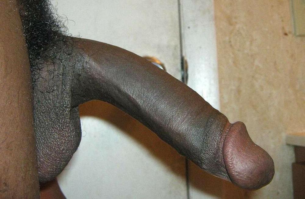 15P Hung gay bfs posing and jerking off gallery 4
