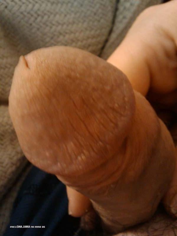 15P Picture set of boyfriends playing with their shafts 