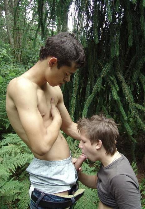 20P Dark and fair twinks mutual sucking and screwing on a glade
