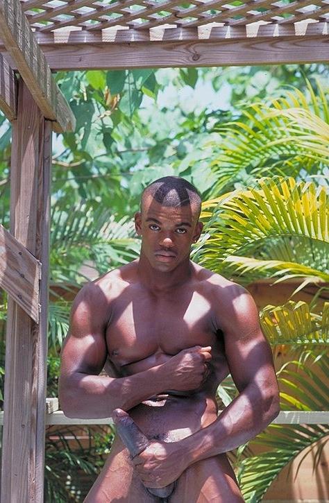 20P Naked ebony gay loves flashing his huge cock while posing