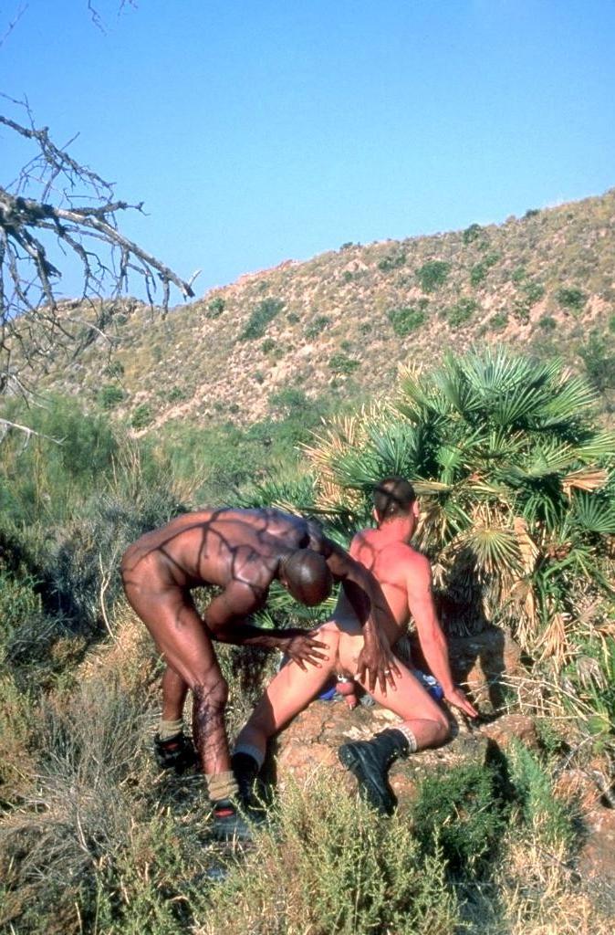 20P Horny gay hunks loving an interracial outdoor ass pounding