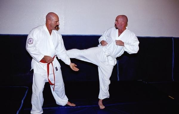 15P Gay karate