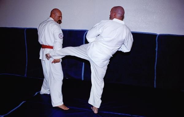 15P Gay karate