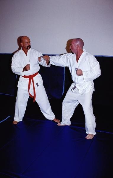 15P Gay karate