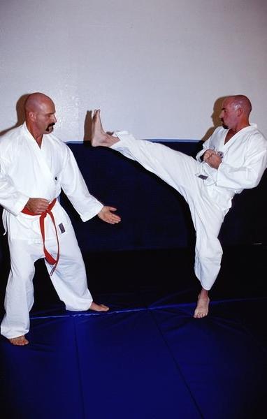 15P Gay karate