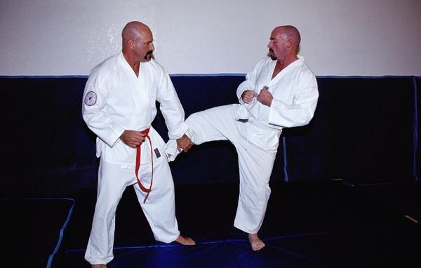 15P Gay karate