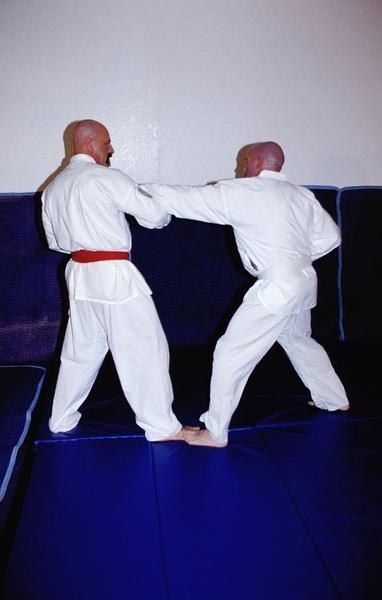 15P Gay karate