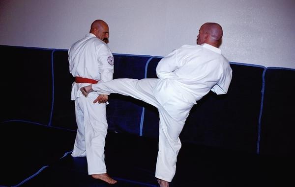 15P Gay karate