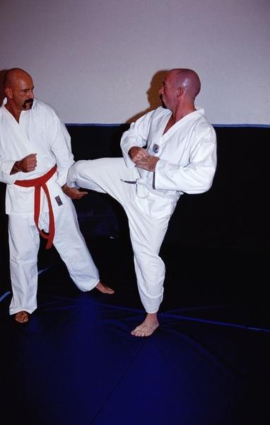 15P Gay karate