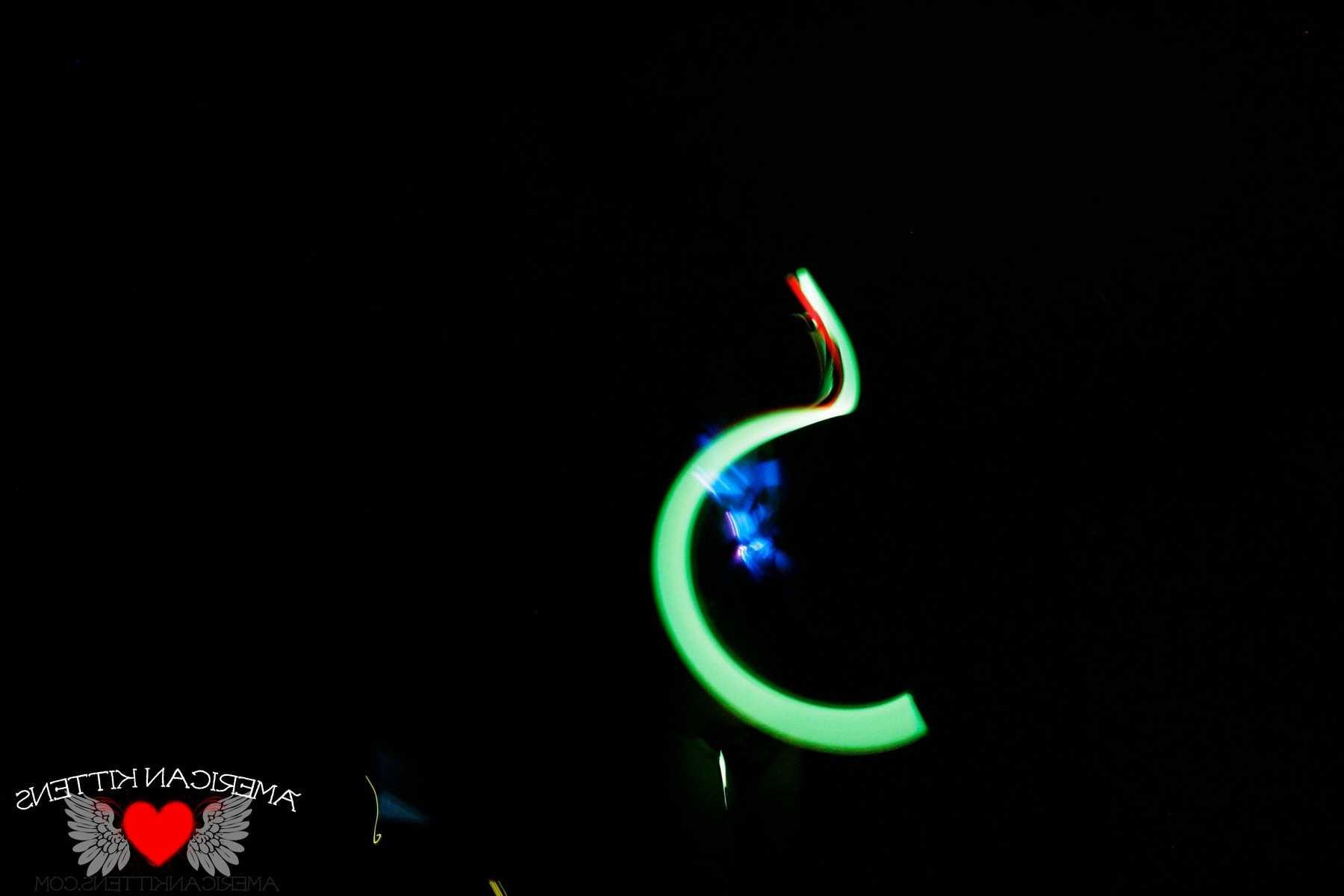 18P Jetta lights