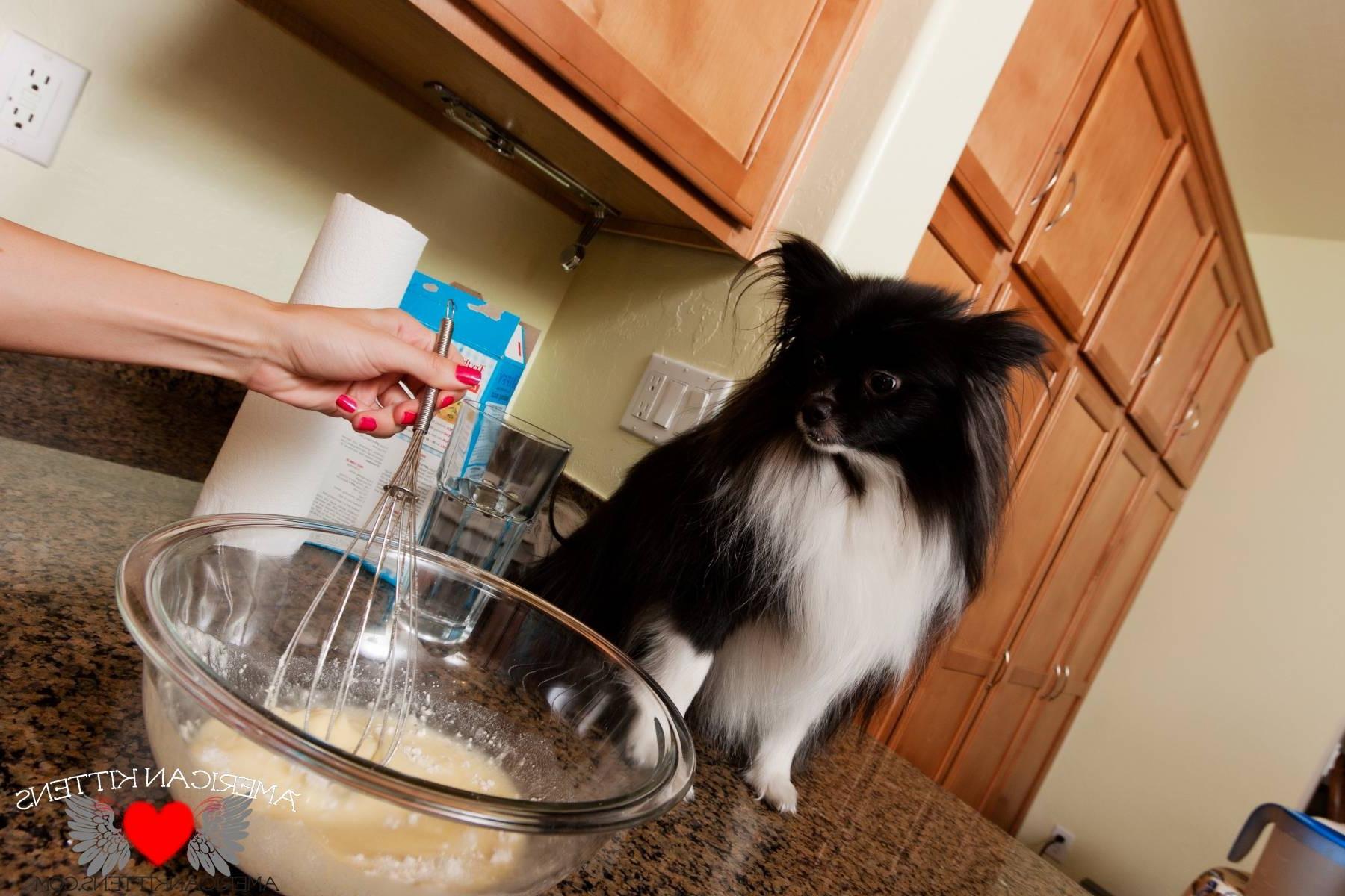 18P Kayden Love in the kitchen full set and there are a ton of great pics this was a