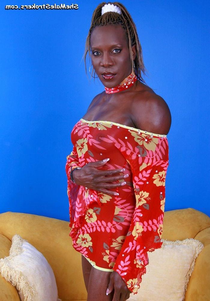15P Huge cock ebony shemale stroking her fat shaft
