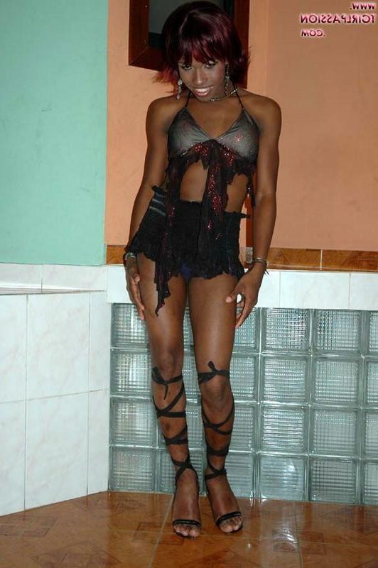 15P Gorgeous ebony shemale showing off her big cock