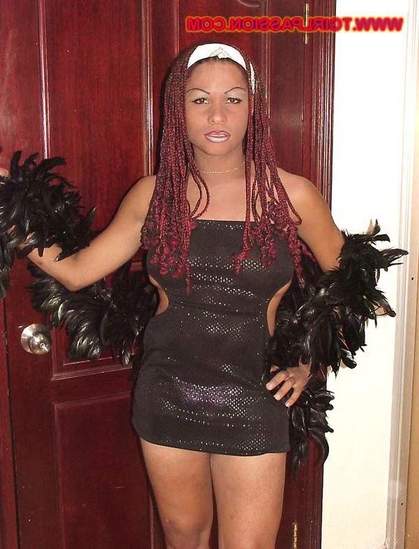 14P Beautiful ebony shemale cock stroker