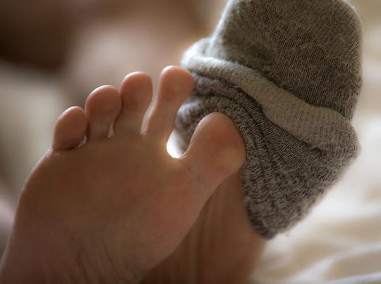 8P AMANDA'S SOCKS