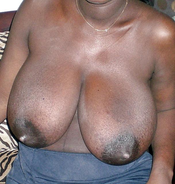 16P Big Ashy Juggs For You To Lotion Up