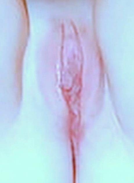 10P JAGRS  SLUT  WIFE  BIANCA