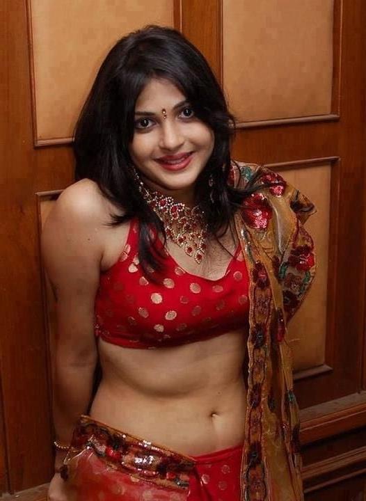 25P Indian saree and blouse 2