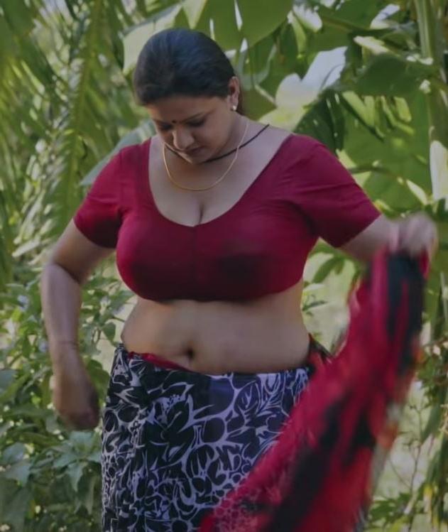 25P Indian saree and blouse 2