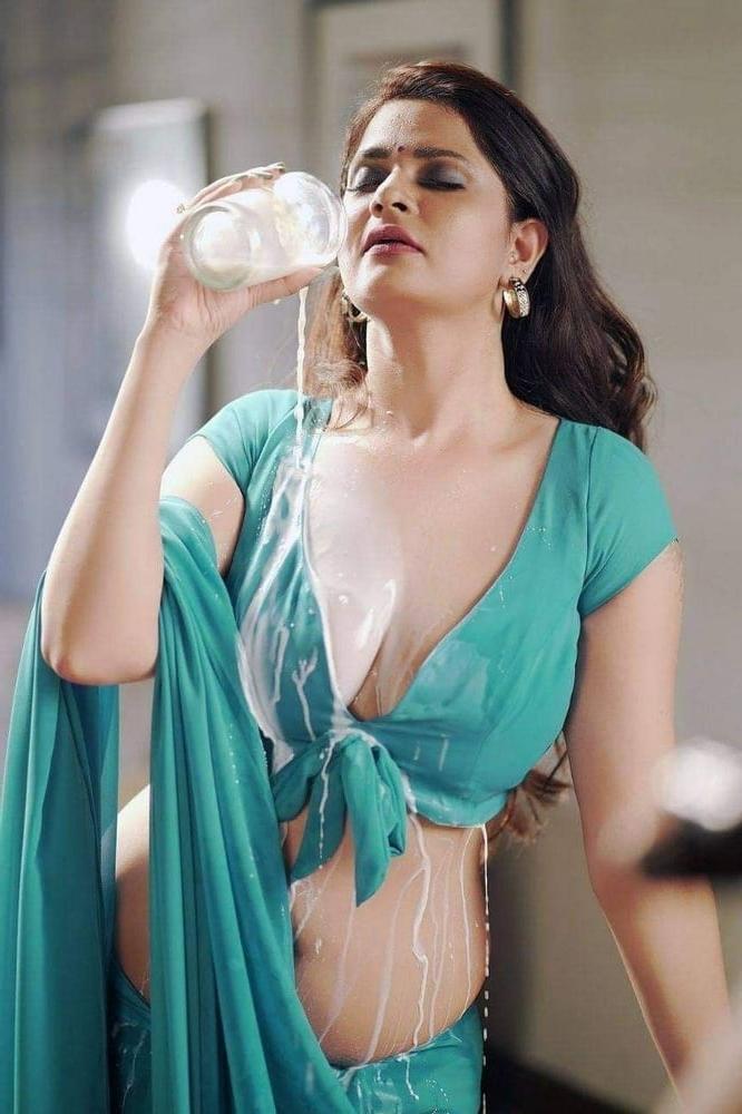 25P Indian saree and blouse 2