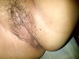 18P Lech