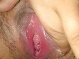 18P Lech