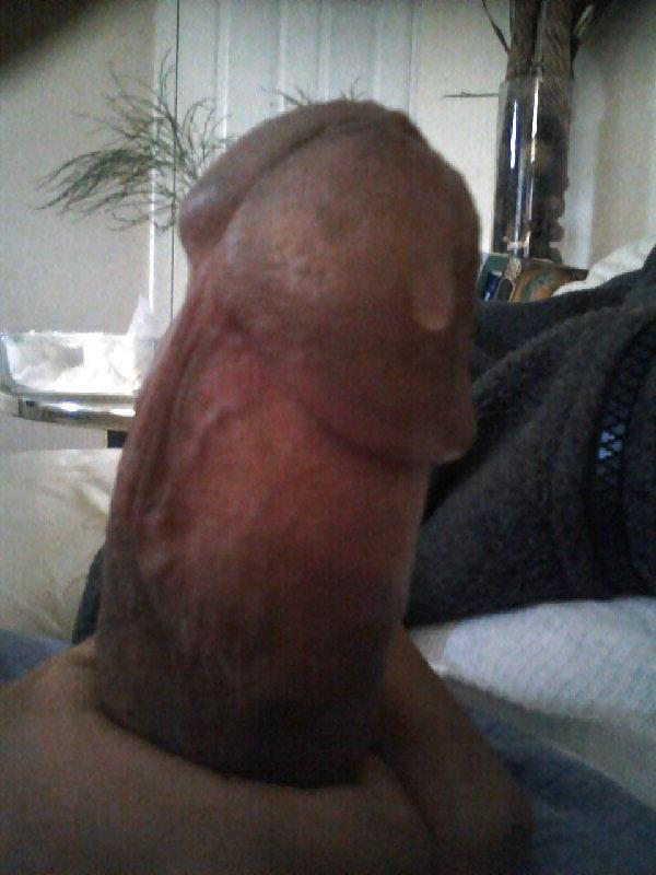 5P Persian cock 