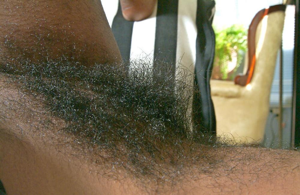 19P Hairy Ebony porn