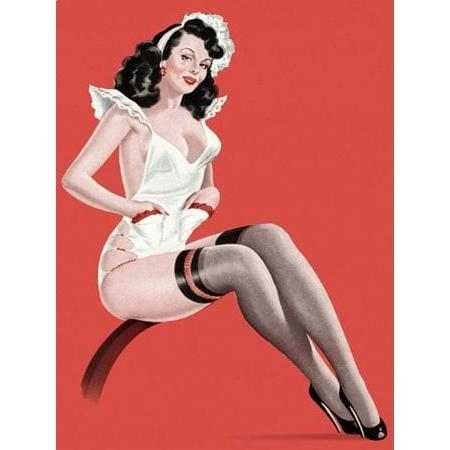 25P Pin up maid