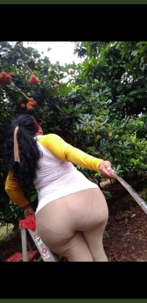 13P Transparent big ass leggings