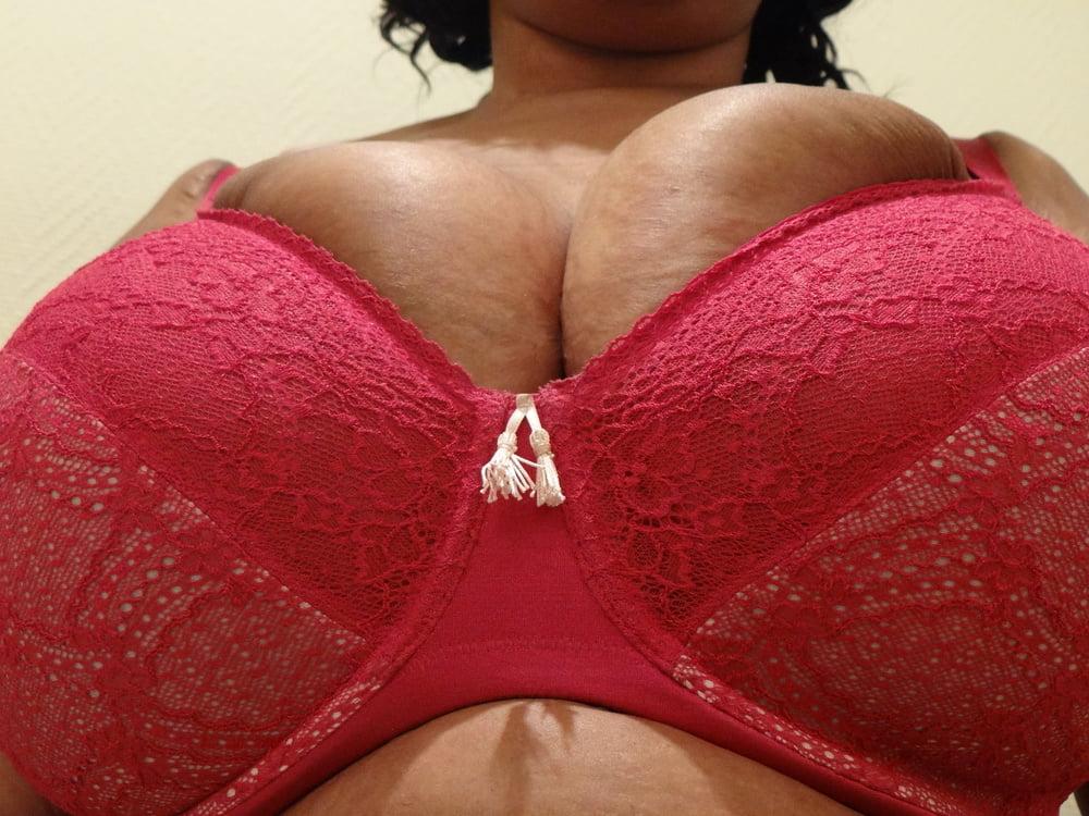 11P Macromastia French Escort Ebony Amateur
