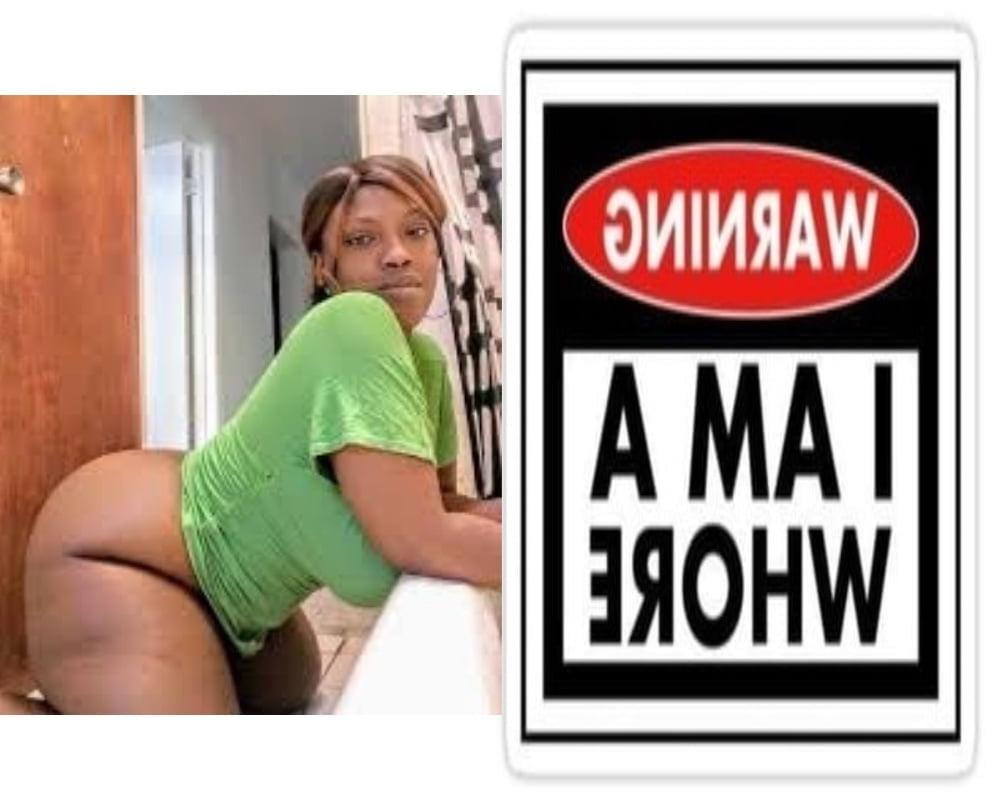 25P A.L.M.O.N.D. Posters
