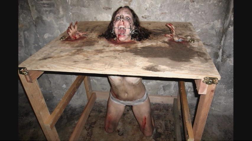 25P Bitches in bondage 9