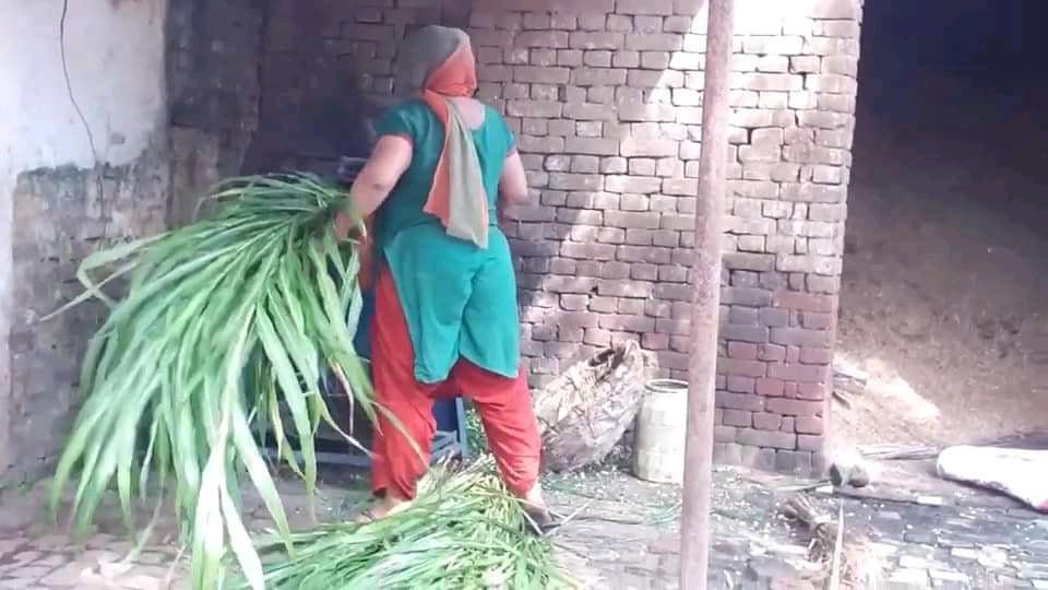 25P Desi ass crack