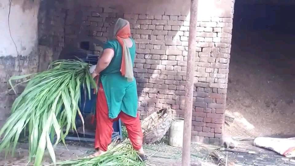 25P Desi ass crack