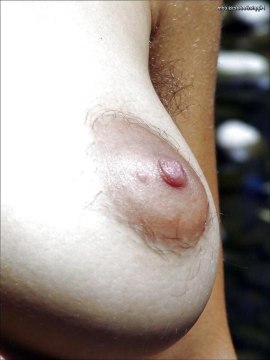 25P Tuesday treasure trails, hairy tits, spread pussy!