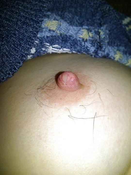 25P Tuesday treasure trails, hairy tits, spread pussy!