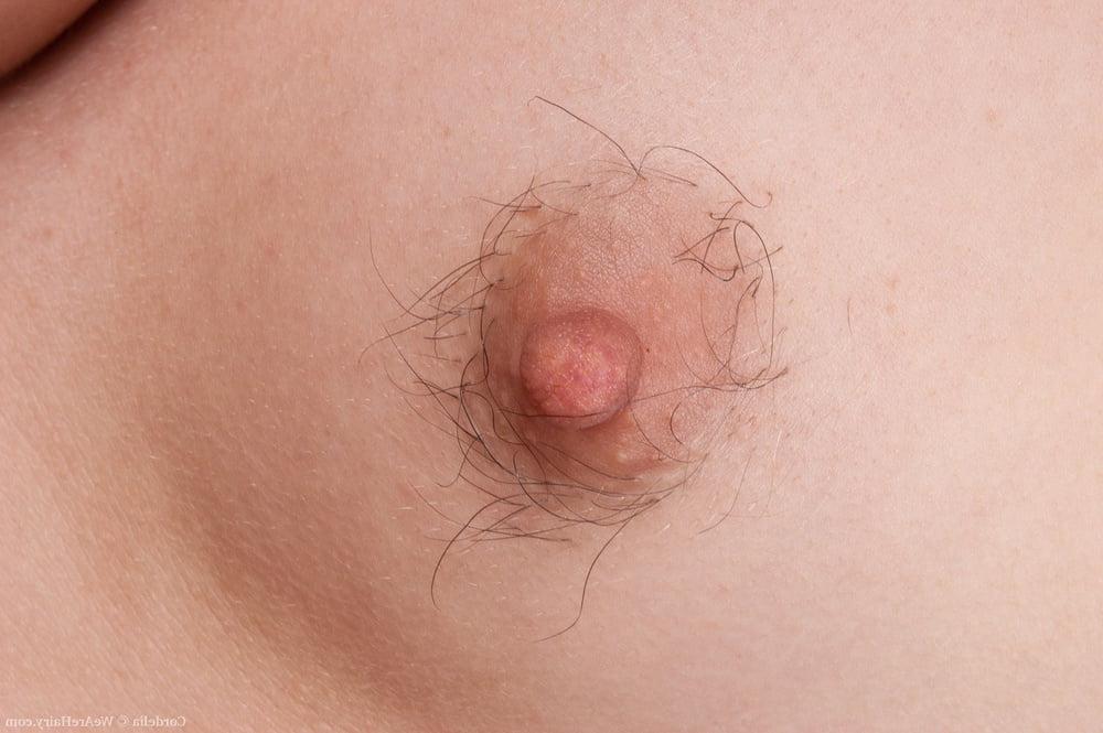 25P Tuesday treasure trails, hairy tits, spread pussy!