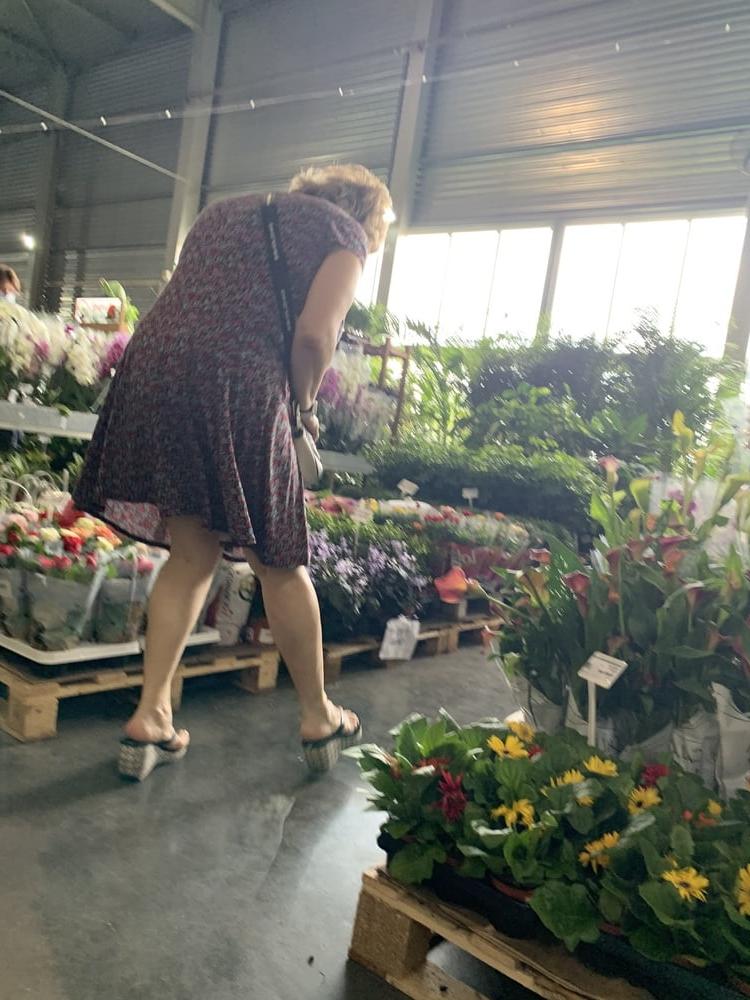19P Upskirt granny in garden
