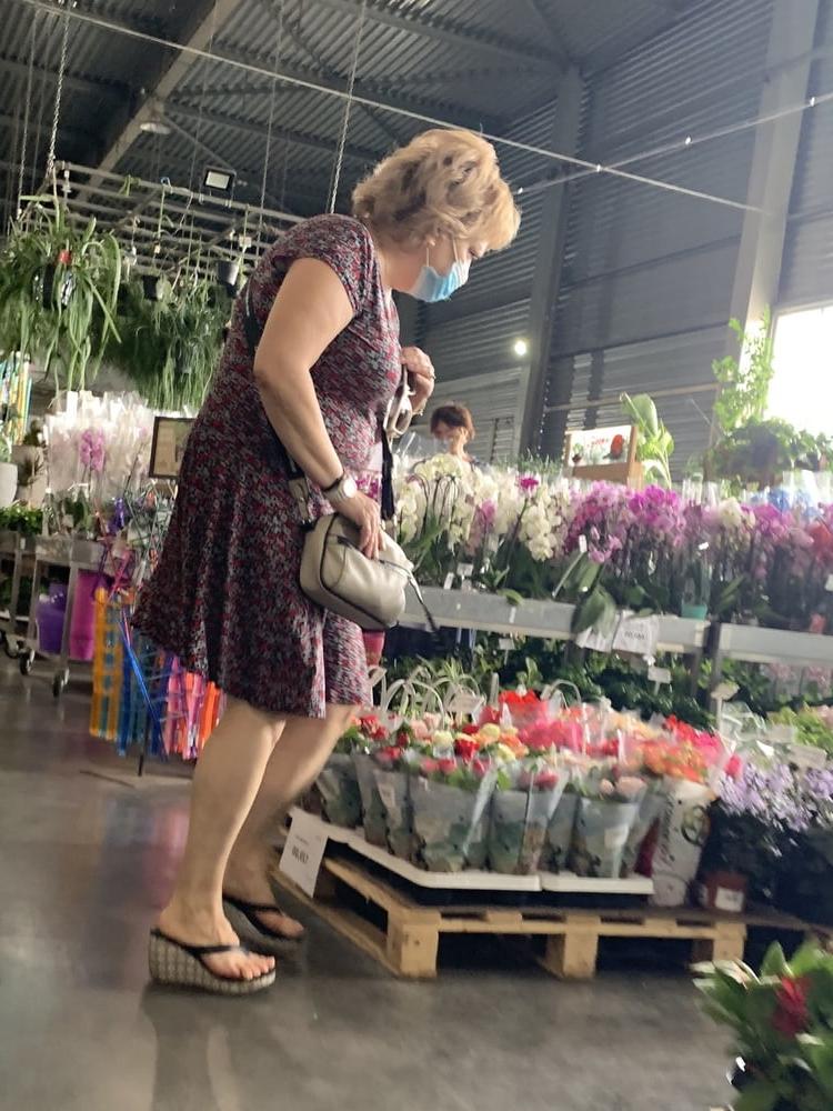 19P Upskirt granny in garden