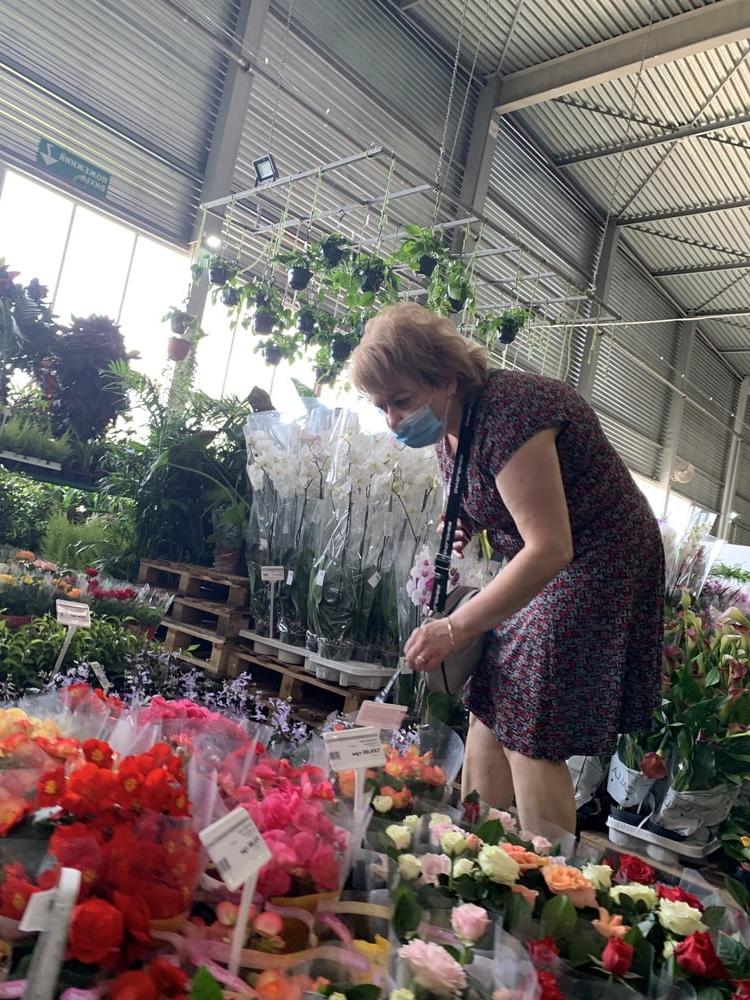 19P Upskirt granny in garden