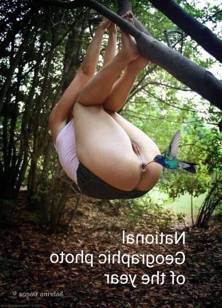 25P Hungarian sluts
