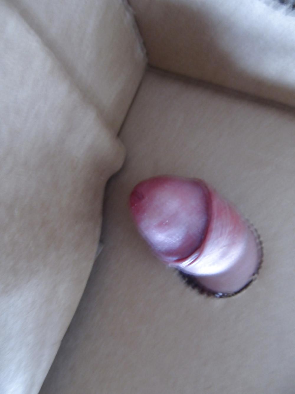 8P GAY COCK