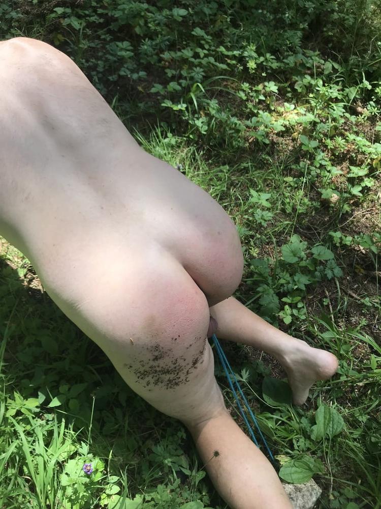 25P Public slaves CBT humiliation