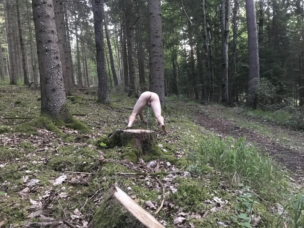 25P Public slaves CBT humiliation