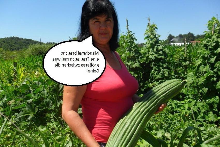 24P Random German Captions 87