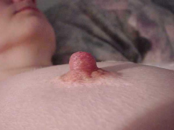 25P Tits & Pussy